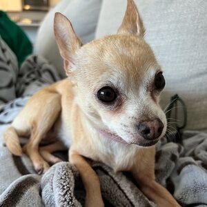 Meet your Posher, Valentina